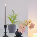 Exklusiv Haus Pietsch - Perfekt Fuer Geschaeftsreisende, Monteure Und Familien - Boxspringbetten - Smart Tv - Garten Appartement Celle