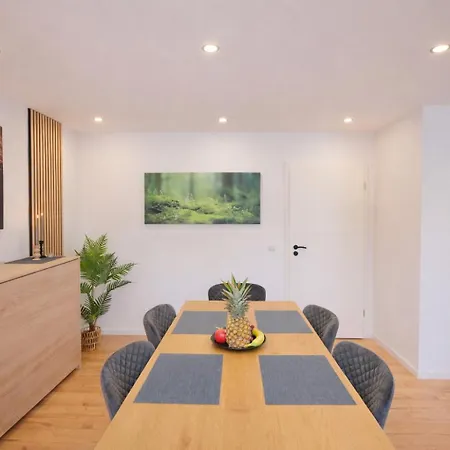 Exklusiv Haus Pietsch - Perfekt Fuer Geschaeftsreisende, Monteure Und Familien - Boxspringbetten - Smart Tv - Garten